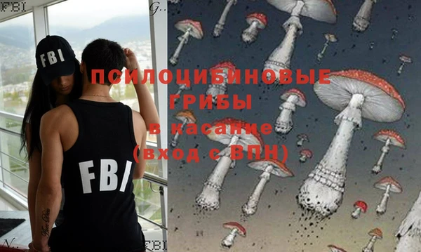 ПСИЛОЦИБИНОВЫЕ ГРИБЫ Магас