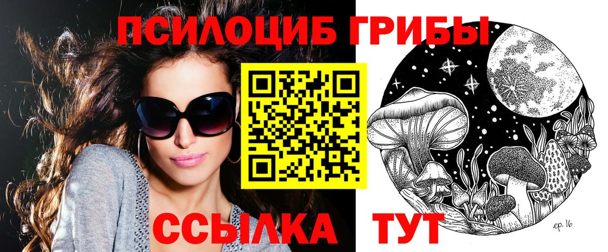 Псилоцибиновые грибы Psilocybe  Звенигород  Псилоцибиновые грибы Magic Shrooms 