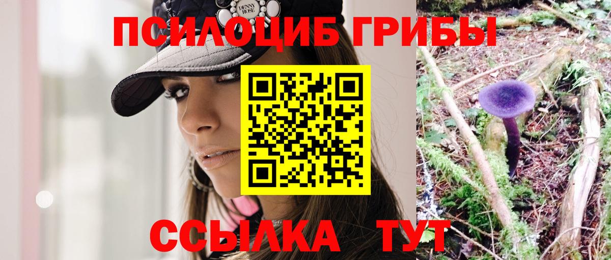 Галлюциногенные грибы Magic Shrooms  Вход с VPN  Псилоцибиновые грибы Magic Shrooms  Звенигород 