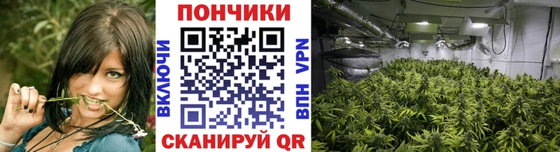 Каннабис LSD WEED  продажа наркотиков  Звенигород 