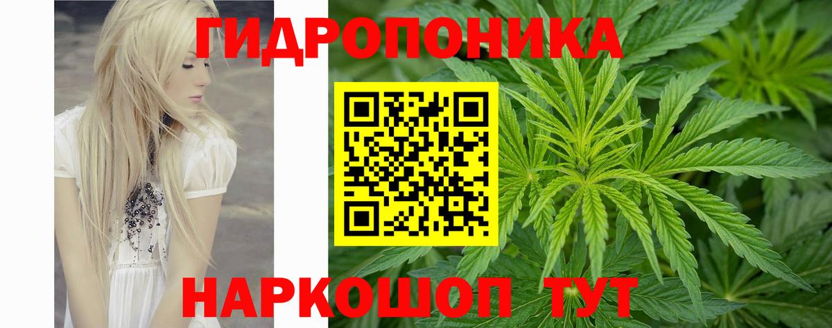 Каннабис White Widow  Конопля Bruce Banner  Конопля тримм  Вход с VPN  Звенигород 